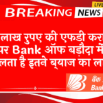 Laddering FD Scheme Returns: 2 लाख रुपए की एफडी कराने पर बैंक ऑफ बड़ौदा में मिलता है इतने ब्याज का लाभ
